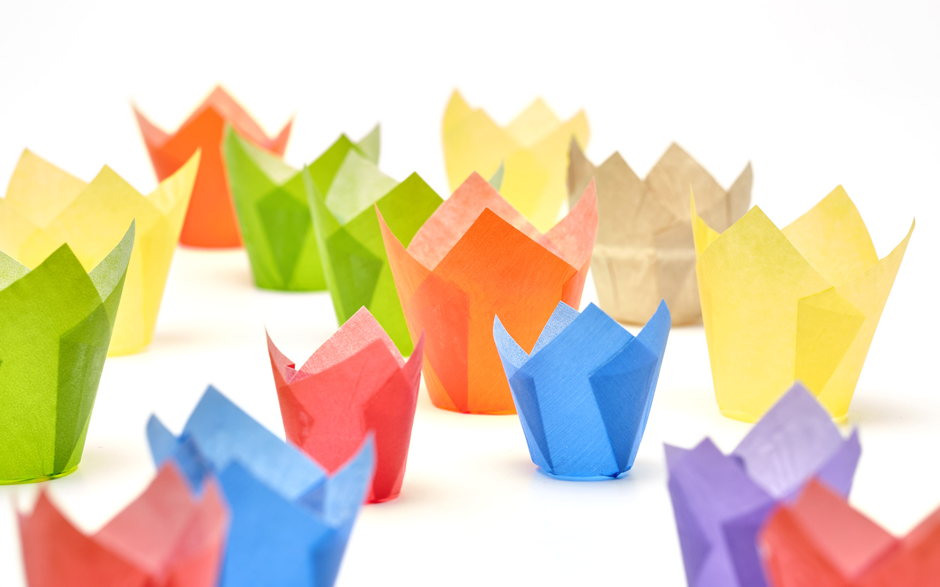 Novacart Paper and Cardboard Baking Molds Novacart Italia